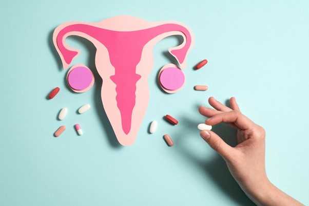 female reproductive image